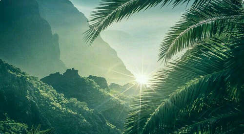 人，要有光芒，也要有鋒芒