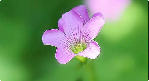 人生只一回，平淡最珍貴