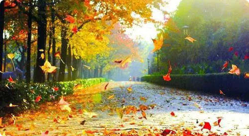 生命的真正價(jià)值所在