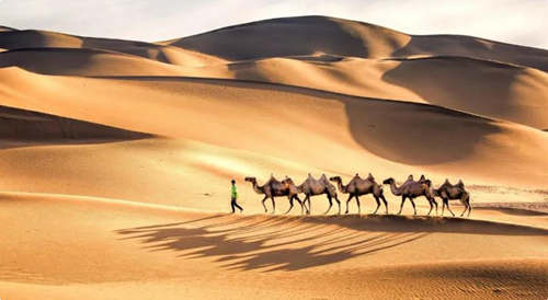 刻在心上的友情（深度好文）