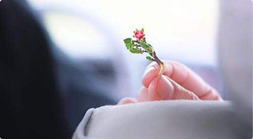 什么才是真正的人脈（看完秒懂）