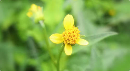 與人相處，請(qǐng)帶上你的真誠(chéng)