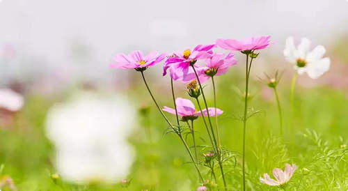 留一把快樂的鑰匙給自己！